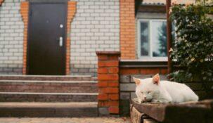 Rynek mieszkaniowy w Polsce czekają poważne zmiany. I nie chodzi o rządowe programy dopłat