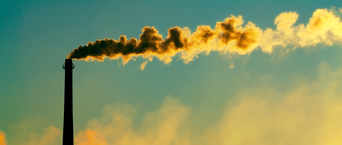 Gąbka jako tani, prosty i przede wszystkim skuteczny sposób na czystą energię