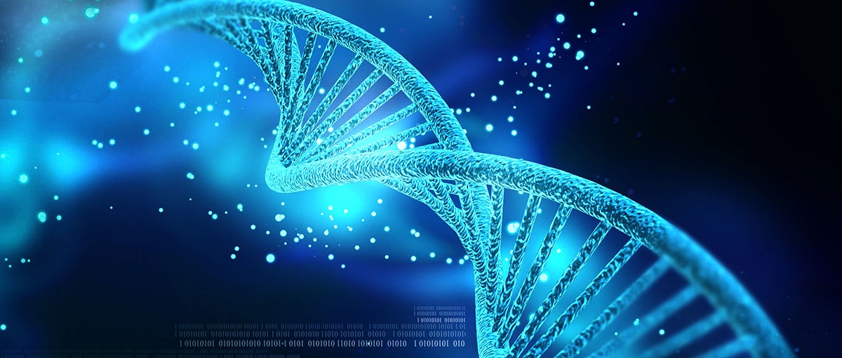 google deepmind dna