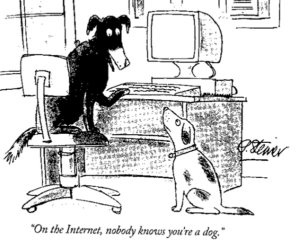 dog 