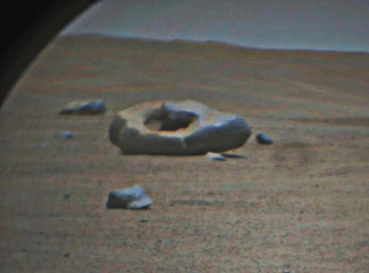 Tajemniczy pączek na Marsie. Takiego zdjęcia jeszcze nie było