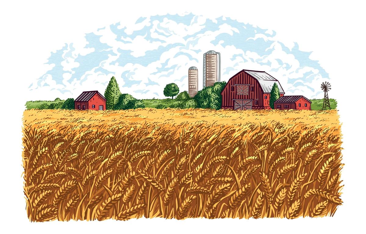 Technologia poszła w pole. Czy grozi nam amazonizacja rolnictwa?