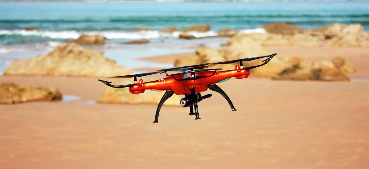 Zatrudnili drony do patrolowania plaży. Lokalne ptactwo powiedziało agresywne "nie"