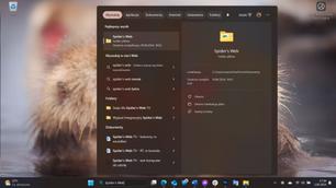 Wyszukiwarka Windows, wersja produkcyjna. Wolę podpisać ten zrzut ekranowy, bo użytkownicy Maca czy Linuxa mogą nie wierzyć, że to coś to narzędzie do pracy