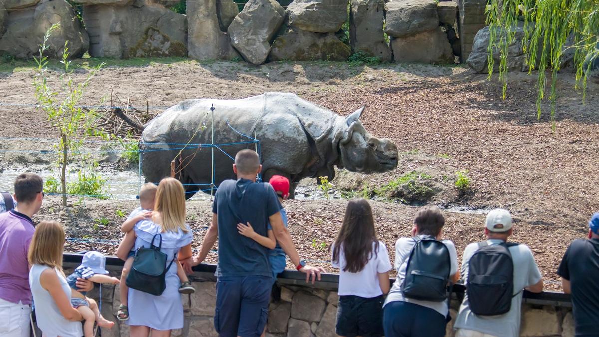 Podlatują i straszą zwierzęta. Jest ważny apel ZOO
