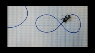 hybryda owad robot (1) class="wp-image-490229" 
