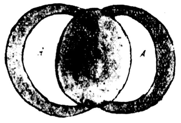 Pierścienie Saturna class="wp-image-495922" 