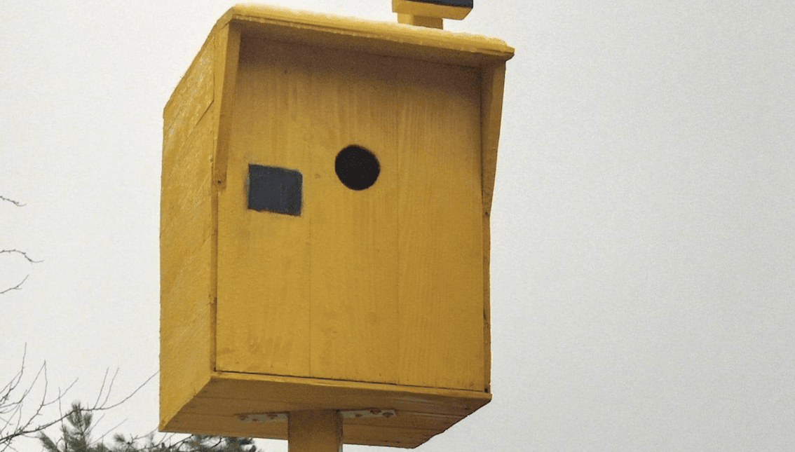 fotoradar żółta budka dla ptaków