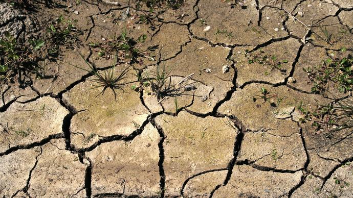 Roślinność wysycha, gleba jak skała. Zmiany klimatu demolują Europę