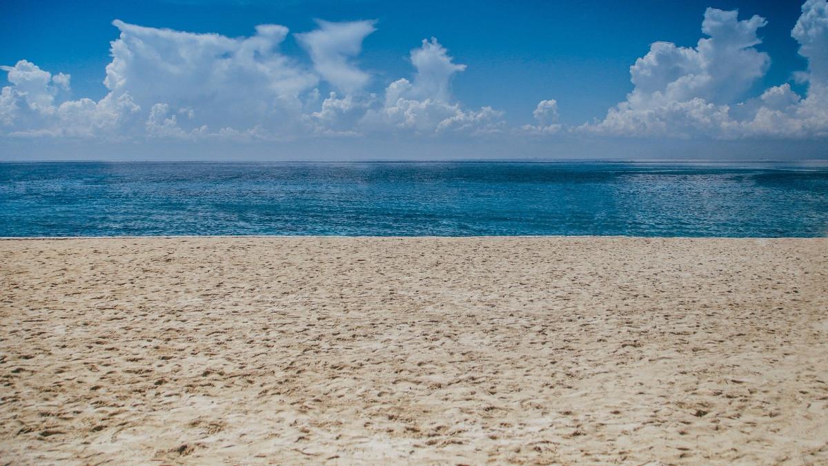 Za parę lat wszystkie plaże będą zielone? Tani sposób na ograniczenie CO2 przy użyciu piasku