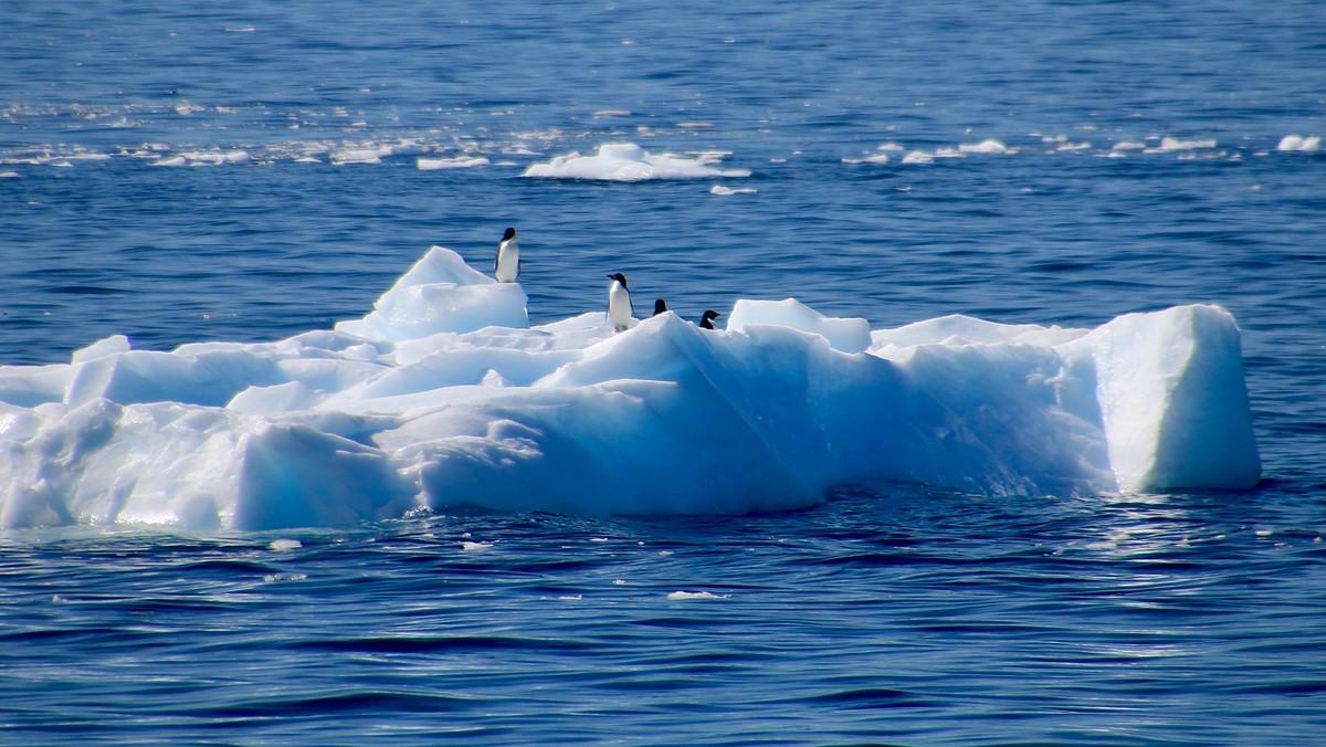 Zmiany klimatu. Spełniają się najgorsze obawy naukowców, metan wycieka z Antarktydy