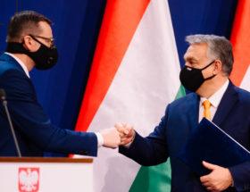 Paszporty covidowe w Polsce? Nawet Orban nie przekonał naszego rządu, że powinien pocisnąć antyszczepionkowców