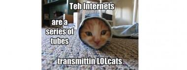 Koty rządzą internetem. Światem. Czcionkami też