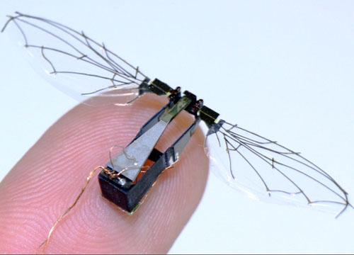 robotic fly 