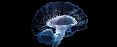 Naukowcy nie chcą Human Brain Project? Nie chcą tworzyć symulacji ludzkiego mózgu?