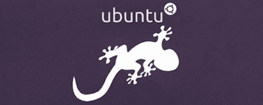 Ubuntu 13.10 Łobuzerska Salamandra, czyli cisza przed burzą &#8211; pierwsze wrażenia Spider&#8217;s Web