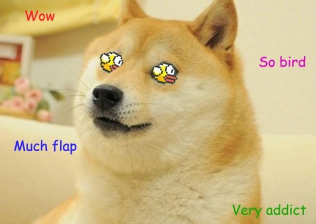 flappy bird doge 