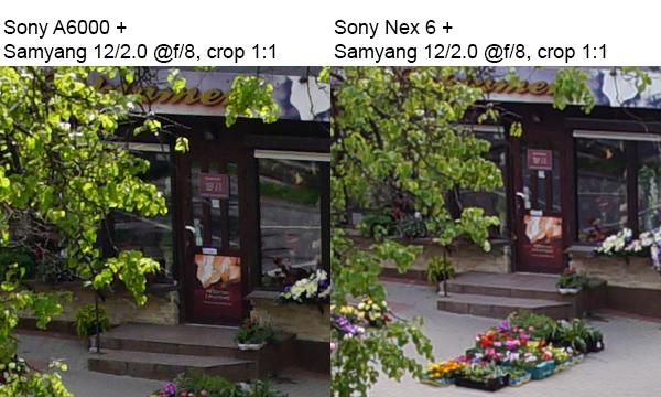 Sony A6000 vs Sony Nex 6 