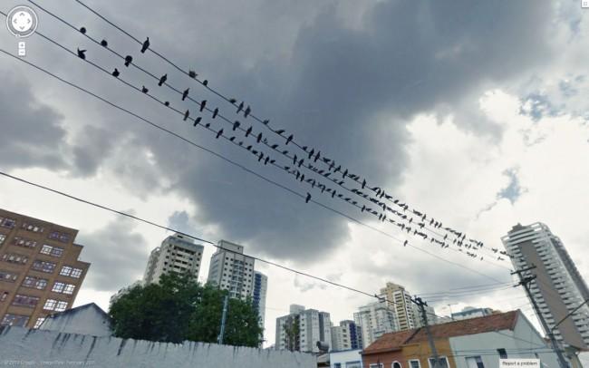 birds-on-a-wire-as-clouds-roll-overhead 
