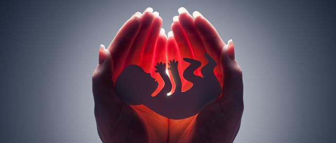 Crowdfunding, czyli publiczna zbiórka pieniędzy na aborcję
