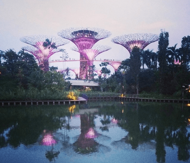 gardens by the bay 2 