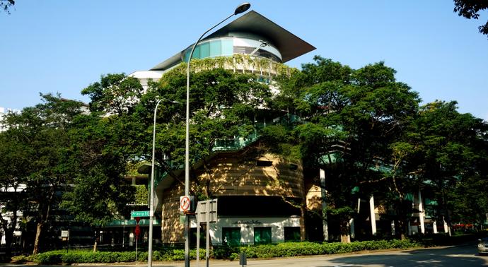 Siłownia, basen, fotele do masażu i łóżka do spania – jak zadbała o mnie singapurska uczelnia