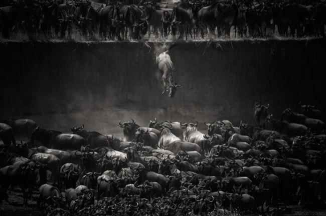 National Geographic Photo Contest 02 