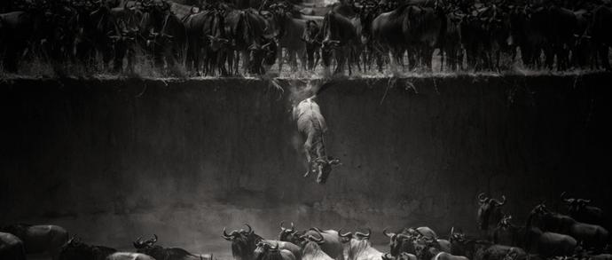 Zwycięskie zdjęcia National Geographic Photo Contest 2014 – porcja świetnej fotografii