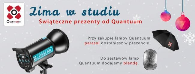 quantuum-winter-2014 