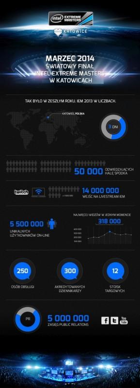 IEM-2013-infografika 