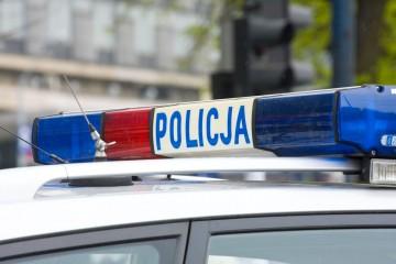 Polska policja korzysta z systemu Child Alert od 2013 roku