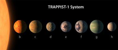 Siedem planet wielkości Ziemi krąży wokół gwiazdy TRAPPIST-1