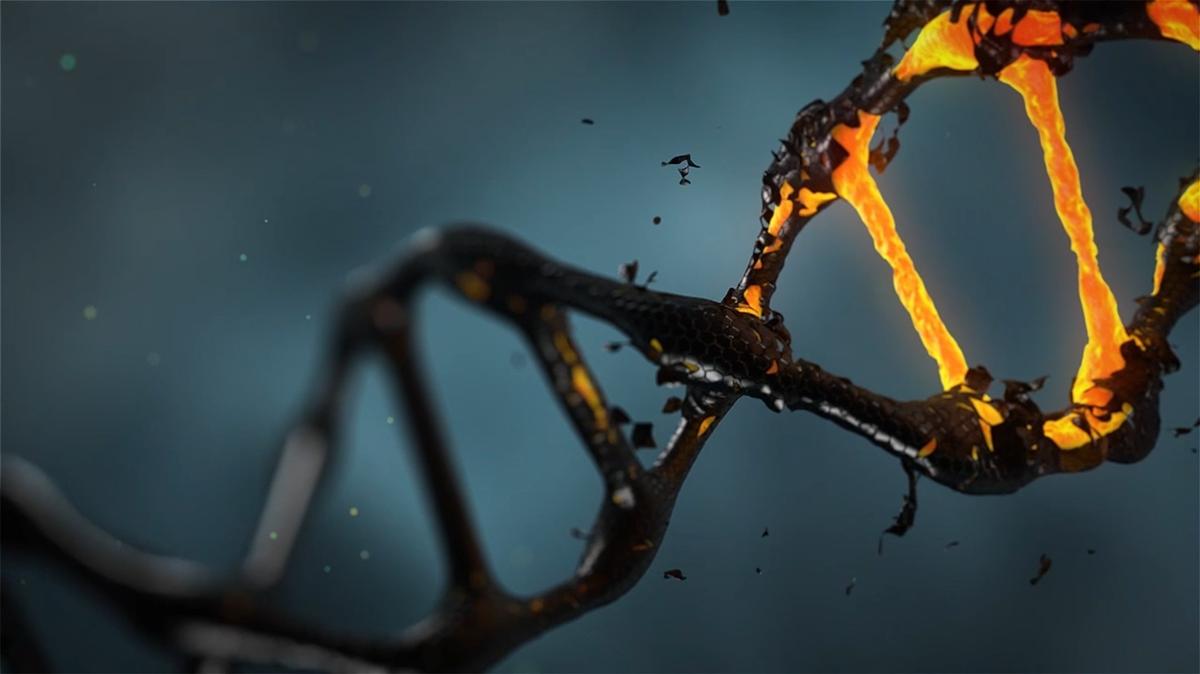Jak wykonać konsumencki test DNA? Poradnik krok po kroku