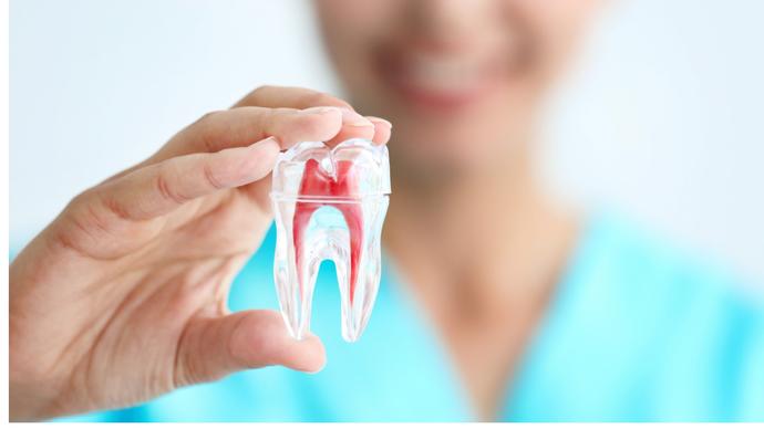 Koniec tradycyjnej stomatologii? Wyhodują nam nowe zęby z komórek macierzystych
