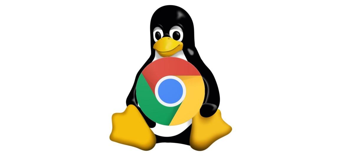 Chromebook programowanie Linux