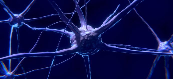 Neuro Device chce zrewolucjonizować rehabilitację osób z afazją