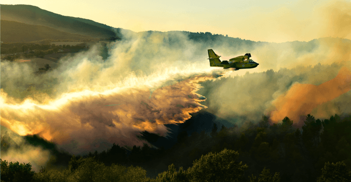 Pożary w Grecji zagrażają mieszkańcom i turystom