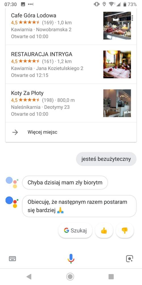 Co potrafi Asystent Google po polsku? class="wp-image-814244" 