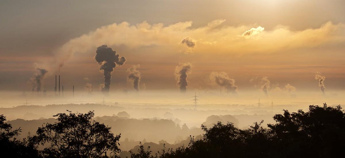 jak rząd walczy ze smogiem? Wprowadzając normy jakości węgla