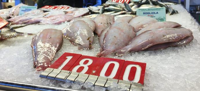 Amerykańska prokuratura przebadała ryby, nie były tymi za kogo je podają