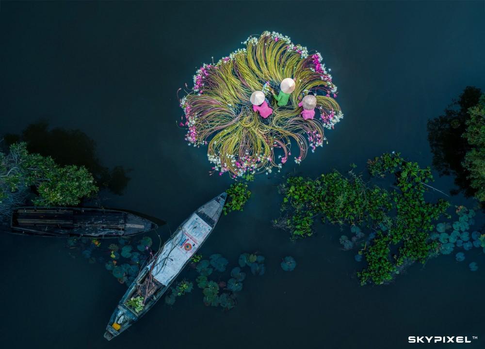 Fot. Khánh Phan / Zwycięzca kat. Nature / 2018 SkyPixel  