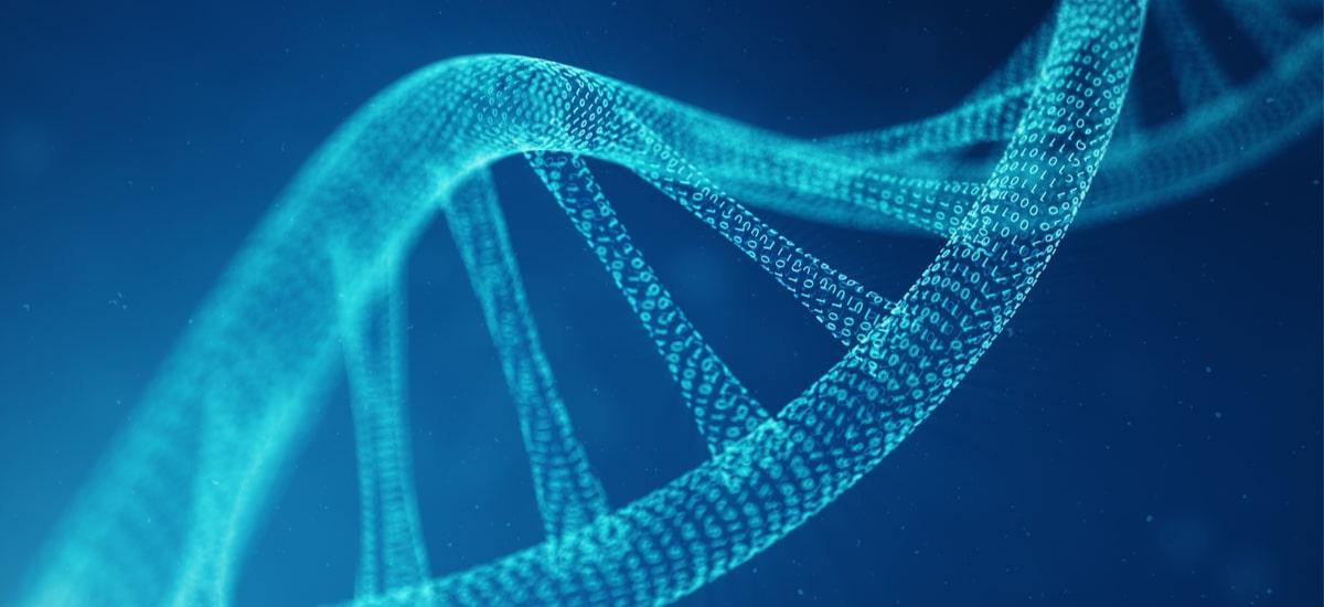 Naukowcy opracowali nową metodę edycji genów. Jest lepsza niż CRISPR