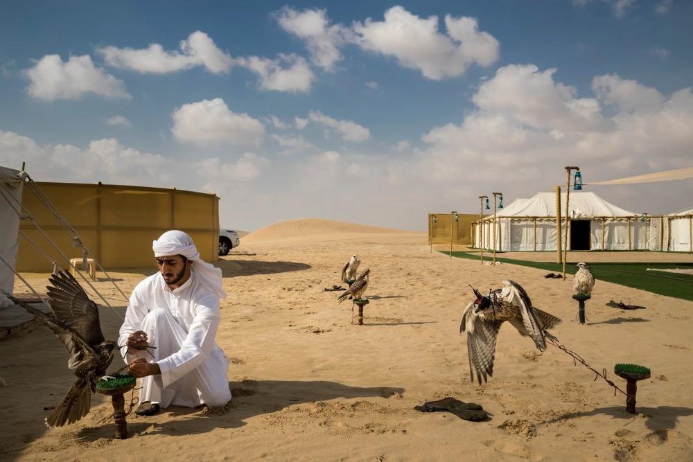 Fot. Brent Stirton/Getty Images / National Geographic. I miejsce w kat. Natura, historia. Obóz polowania na sokoły na pustyni nieopodal Abu Dhabi.  class="wp-image-921801" 