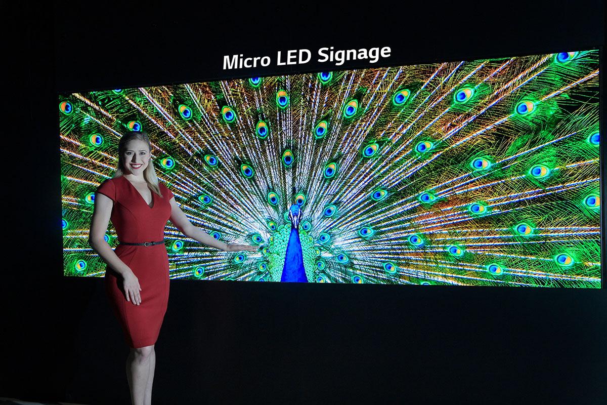OLED Micro LED class="wp-image-954764" 