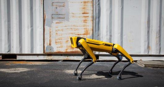 Poznajcie Łatę. To robot Boston Dynamics, którego można programować