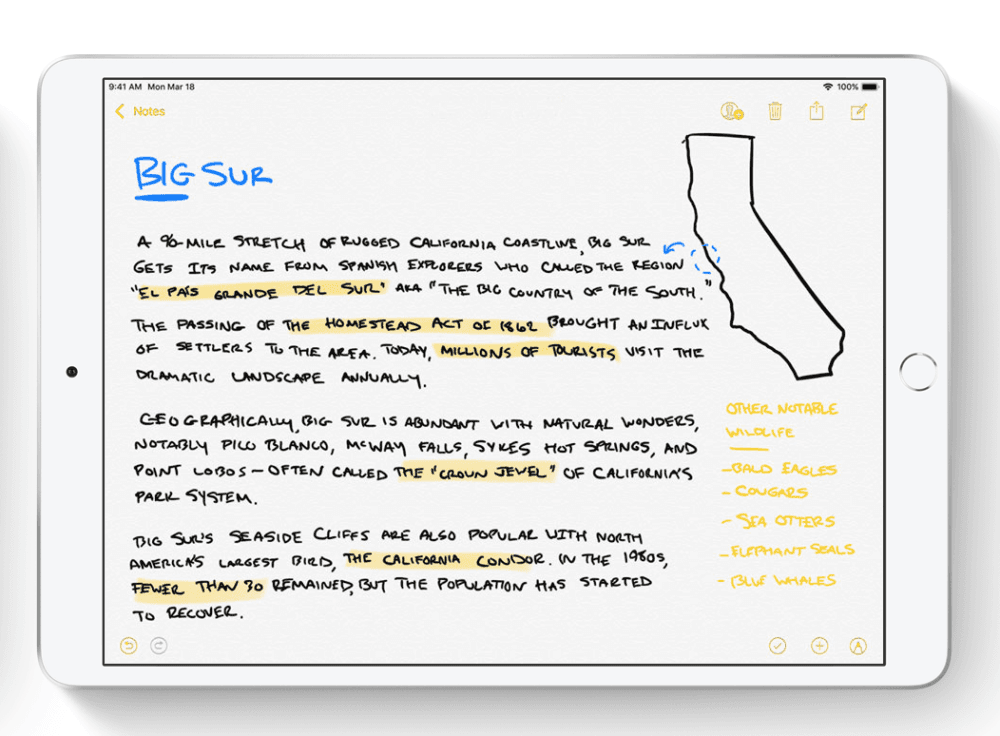 Odręczne pismo na iPadzie class="wp-image-1042658" title="Odręczne pismo na iPadzie" 