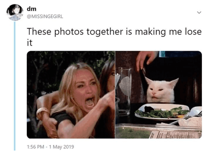 Woman yelling at a cat mem 