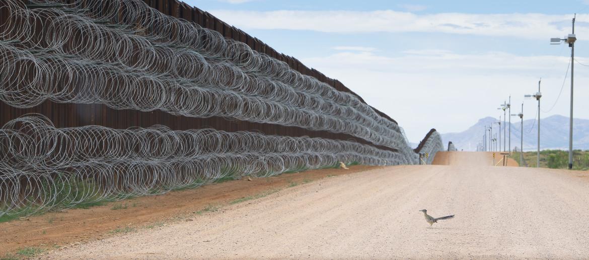 Fot. Alejandro Prieto, &quot;Roadrunner Approaching the Border Wall&quot;. 2. miejsce w kategorii Nature class="wp-image-1128628" 