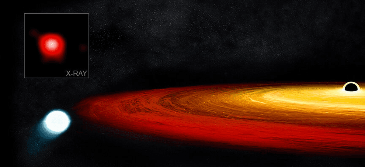 Gwiazda, która przetrwała bliskie spotkanie z supermasywną czarną dziurą