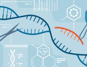 Edycja genów CRISPR-Cas9 jest zbyt niedokładna, żeby stosować na ludzkich zarodkach